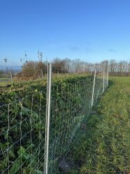 Knick angelegt mit Wildschutzzaun 2